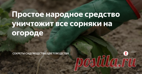 Простое народное средство уничтожит все сорняки на огороде Вы только пропололи сорняки, а они через несколько дней появляются снова? Хотите избавиться от них надолго, облегчив себе работу на огороде? Читайте до конца, чтобы узнать "секретный" рецепт, который малоизвестен, но очень эффективен. Я так обрабатываю тропинки и пространство между грядками каждый год, и мой участок выглядит ухоженным.
Способ уничтожения сорняков
Сейчас в продаже можно встретить в