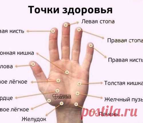 ТОЧКИ ЗДОРОВЬЯ НА ЛАДОНЯХ
