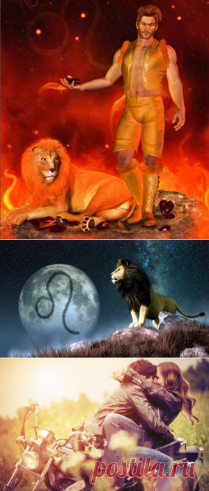 Лев мужчина цвет. Мужчина Лев. Как завоевать мужчину Льва. Как покорить мужчину Льва. Светский Лев (мужчина).