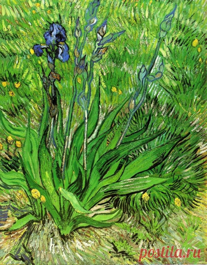 Художник Винсент Ван Гог (Vincent van Gogh; 1853-1890).
