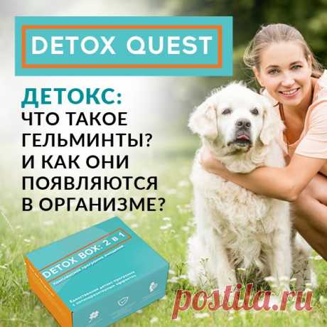 Родник Здоровья

Что такое гельминты? И как они появляются в организме?

Негативное действие токсинов нередко усиливается из-за заражения гельминтами. Они попадают в наш организм с недожаренными шашлыками, непромытыми овощами и фруктами, после купания в водоемах, объятий с домашними животными, во время путешествий, когда нам сложно соблюдать правила гигиены. Они не просто остаются в нашем организме, они там начинают жить, паразитировать и выделять токсичные вещества в кровь. 
Показать полностью…