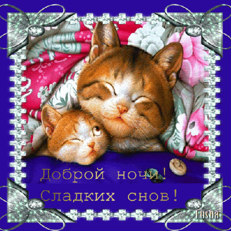 живые открытки спокойной ночи - Поиск в Google