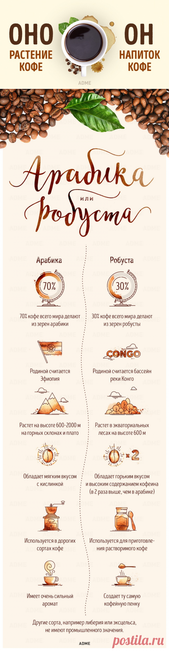 Гид по кофе