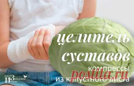 Капустный лист. Лечебные свойства. Компресс из капустного листа | Блог Ирины Зайцевой
