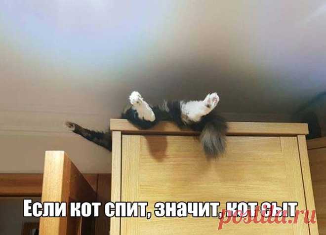 Утро добрым не бывает. 100% / Писец - приколы интернета