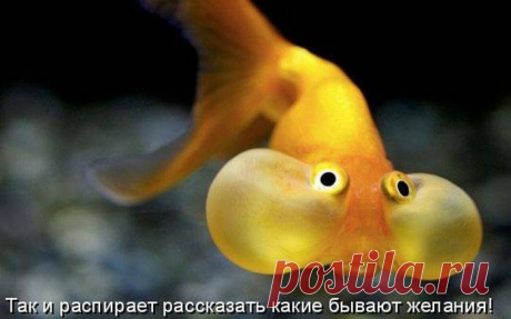 Афоризмы и цитаты 11 часть 10