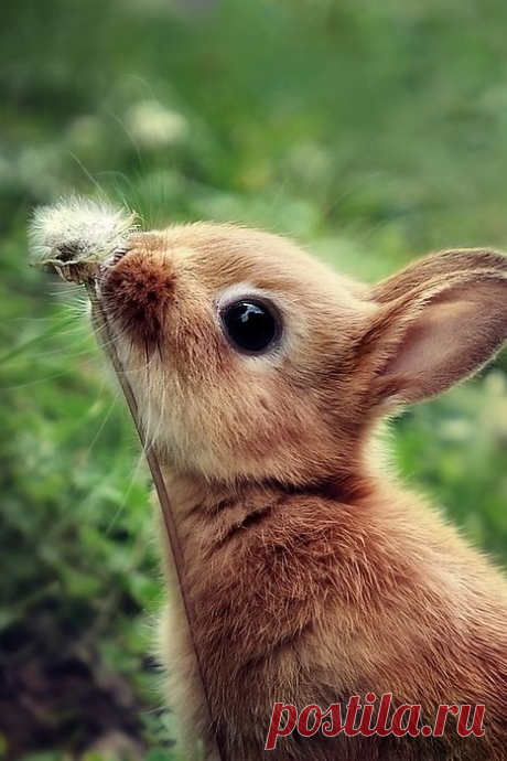Stop and smell the roses ♥