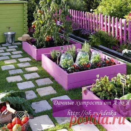 ПОЛНОЕ СОБРАНИЕ ДАЧНЫХ ХИТРОСТЕЙ ДЛЯ САДОВОДОВ И ОГОРОДНИКОВ!

1. Свекла любит полив методом дождевания и частые, но осторожные рыхления.
2. После второго прореживания свеклу подкармливают минеральными удобрениями.
3. Лучше всего свекла растет на нешироких грядках, шириной в 3 ряда максимум с расстояниями между растений от 15-17 см.
4. Пока у моркови не появились всходы, ее поливают регулярно. Когда появятся всходы, их 12-15 дней лучше не поливать, за исключением засушливы...