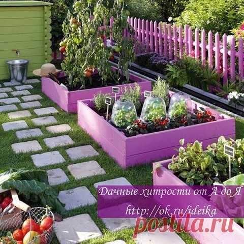 ПОЛНОЕ СОБРАНИЕ ДАЧНЫХ ХИТРОСТЕЙ ДЛЯ САДОВОДОВ И ОГОРОДНИКОВ!

1. Свекла любит полив методом дождевания и частые, но осторожные рыхления.
2. После второго прореживания свеклу подкармливают минеральными удобрениями.
3. Лучше всего свекла растет на нешироких грядках, шириной в 3 ряда максимум с расстояниями между растений от 15-17 см.
4. Пока у моркови не появились всходы, ее поливают регулярно. Когда появятся всходы, их 12-15 дней лучше не поливать, за исключением засушливы...