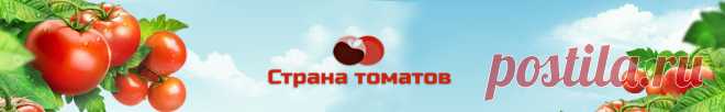 Новые сорта томатов на 2018 год сибирской селекции