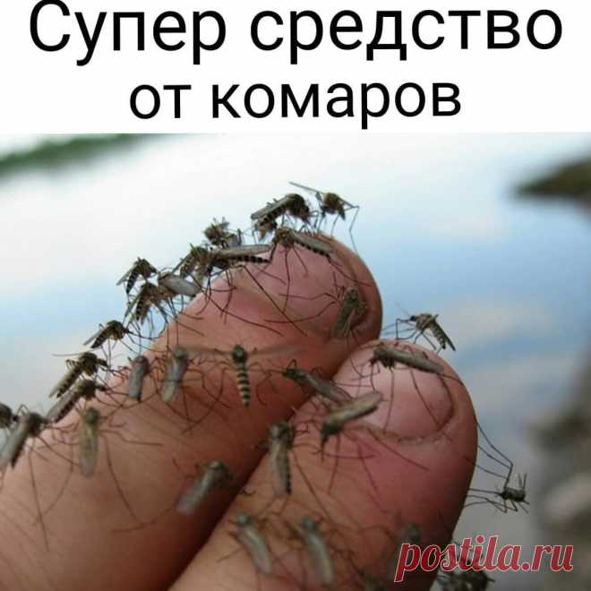 До прихода комаров осталось совсем немного... 
Рекомендуем чудодейственное средство! 
⠀