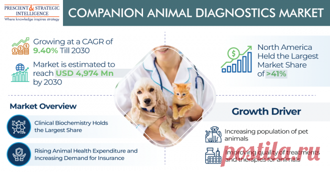The total value of the global companion animal diagnostics market was USD 2,424 million in 2022, and it will rise at a growth rate of above 9.40% shortly, reaching USD 4,974 million by 2030, according to P&S Intelligence.