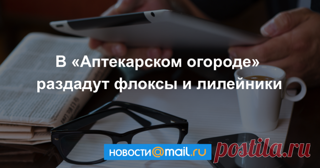 В Аптекарском огороде раздадут флоксы и лилейники - Новости Общества - Новости Mail.Ru