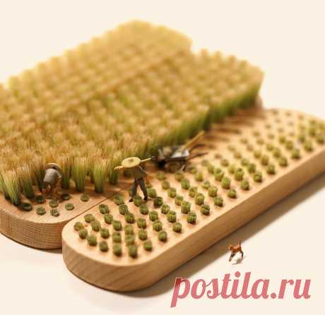 Миниатюра