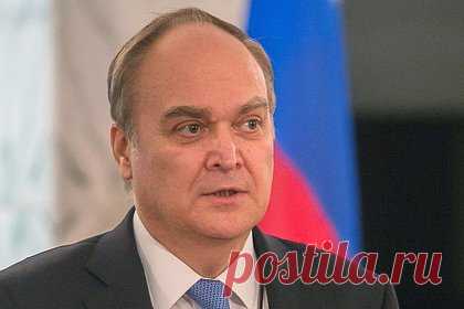 «Распоясавшиеся европейские сателлиты». Посол России заявил, что США осознают последствия отправки войск на Украину. Посол России в Вашингтоне Анатолий Антонов заявил, что США осознают последствия отправки западных войск на Украину. Он призвал Вашингтон вспомнить об азах международной политики и отказаться от эскалации ради мировой стабильности, за которую особую ответственность несут Россия и США.