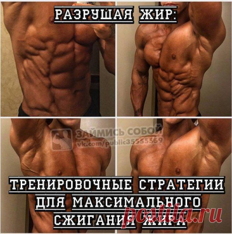 Разрушая жир: тренировочные стратегии для максимального сжигания жира / Абсолютное здоровье