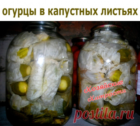 СОВЕТ 1 : Вы делали кто нибудь такую закатку, как огурцы в капустных листьях ? Сохраните, чтобы не потерять. Если нет, то берите рецепт на вооружение. Очень вкусно. Ингредиенты:

 Огурцы Капуста Хрен Укроп Чеснок Листики смородины Соль Сахар Уксус Количество продуктов зависит от количества закрываемых банок.