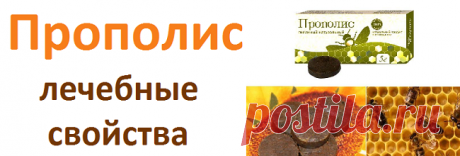 Прополис лечебные свойства, рецепты | Советы целительницы
