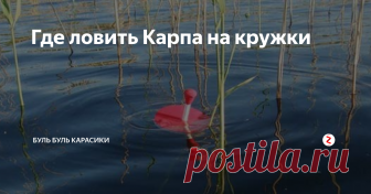 Где  ловить Карпа на кружки Здравствуйте, дорогие друзья как я и обещал сделал для вас еще одну статью про карпа и кружки. Если вы не читали первую статью по этой теме, то думаю вам будет не совсем понятно, так что бегом переходите по ссылке, читайте первую часть и возвращайтесь обратно.
Ловля Карпа на кружки
Те кто уже в теме, я продолжаю!
Стоит заметить, что лучшие места для такой ловли - это разного рода запруды, озера и