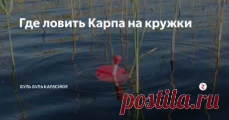 Где  ловить Карпа на кружки Здравствуйте, дорогие друзья как я и обещал сделал для вас еще одну статью про карпа и кружки. Если вы не читали первую статью по этой теме, то думаю вам будет не совсем понятно, так что бегом переходите по ссылке, читайте первую часть и возвращайтесь обратно.
Ловля Карпа на кружки
Те кто уже в теме, я продолжаю!
Стоит заметить, что лучшие места для такой ловли - это разного рода запруды, озера и
