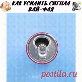 (3) Одноклассники