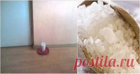 DEJA UN VASO DE AGUA CON SAL Y VINAGRE EN TU CASA Y ¡VERÁS CAMBIOS INCREÍBLES EN 24 HORAS! Un vaso de agua con sal y vinagre en tu casa producirá increíbles cambios en 24 horas. No existe un mejor lugar que el hogar; cuando estas en casa es agradable tener tu propia comodidad ya