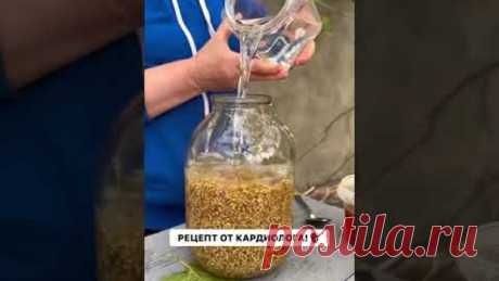Сосуды чистые как стеклышко