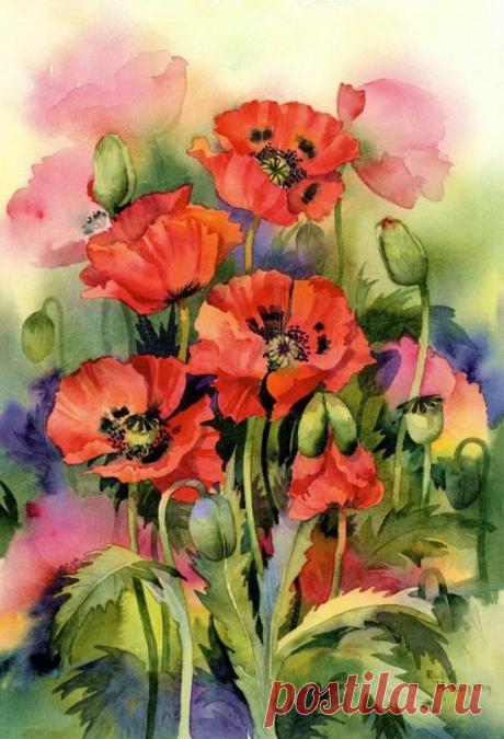 (2) Одноклассники