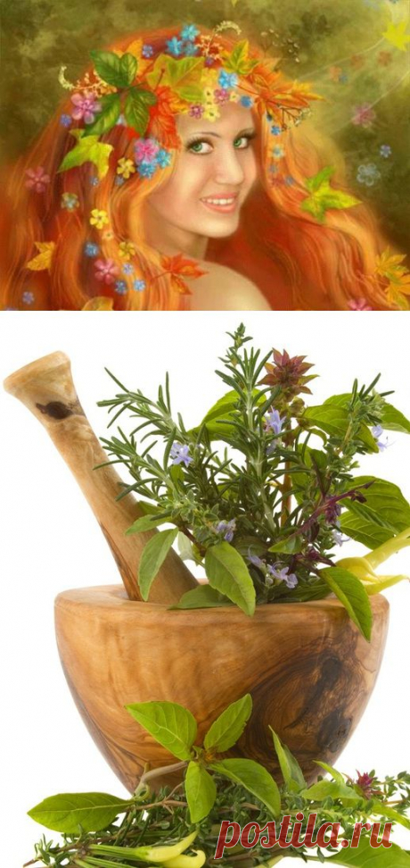 Ополаскивание волос травами.