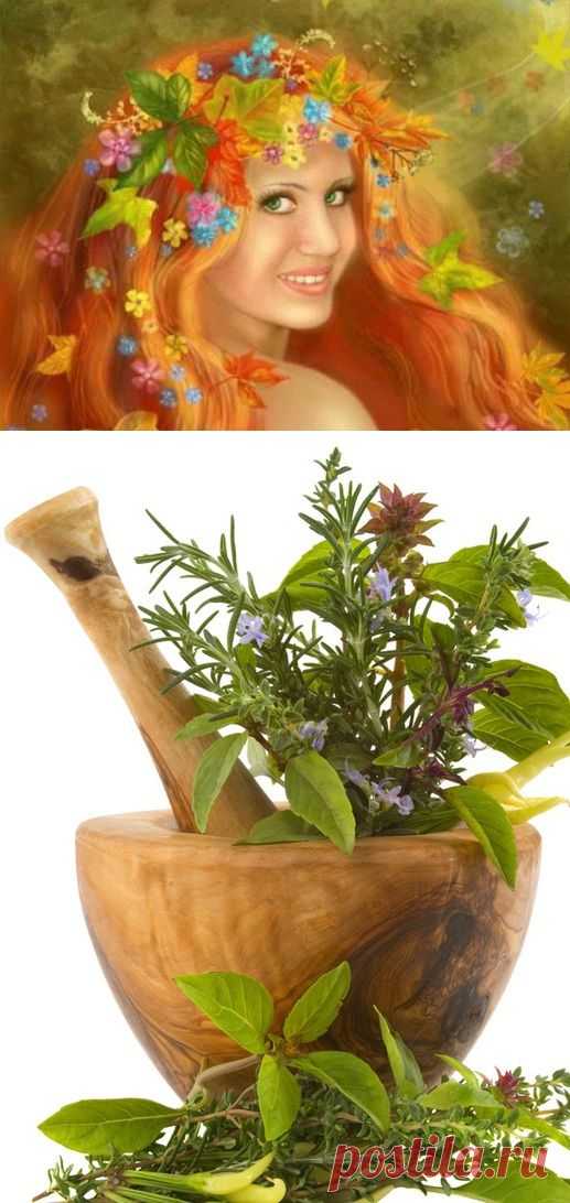 Ополаскивание волос травами.