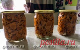 Маринованные лисички. Рецепт с фото Мариновать грибы на зиму это, пожалуй, традиция большинства семей. Рецептов маринованных грибов множество, и наверняка у каждой хозяйки есть свой. Однако лисички готовят не так часто, а зря. Грибы получаются вкусными и хорошо хранятся всю зиму в холодильнике или погребе.

