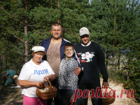 Грибные места  между Питером и Псковом.