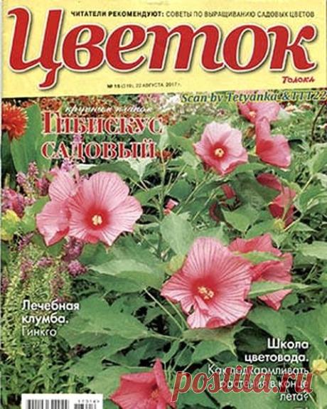 Цветок (№16 2017) Читать и скачать журналы онлайн