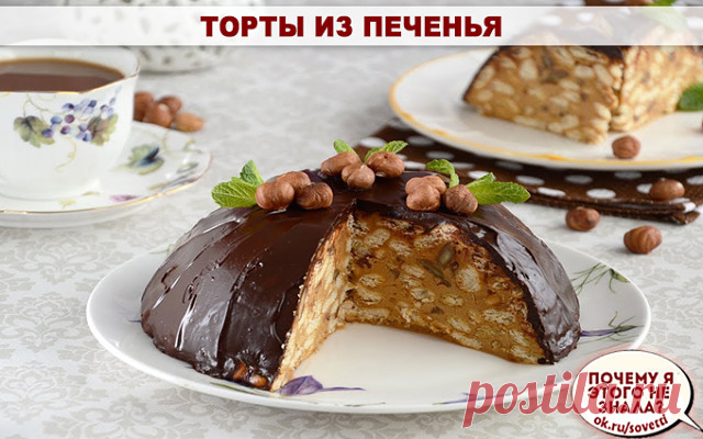 Торты из печенья - 5 лучших рецептов  

Рецепт 1: Торт из печенья банановый 

Описание: 

Очень вкусный торт! Сочетание сметаны и бананов делает его вкус нежным, а на его приготовление уходит так мало времени, что можно делать его хоть каждый день и подавать в качестве десерта или на завтрак малышам. 

Ингредиенты: 

1 кг не соленого крекера; 
4 крупных банана; 
1 л сметаны; 
0,5 кг сахара; 
100 гр. шоколада. 

Способ приготовления: 

1. Взбиваем сметану с сахаром. Бананы ...