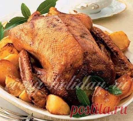 Как вкусно приготовить гуся в духовке: с фото