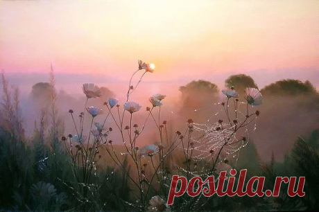 (53) Одноклассники