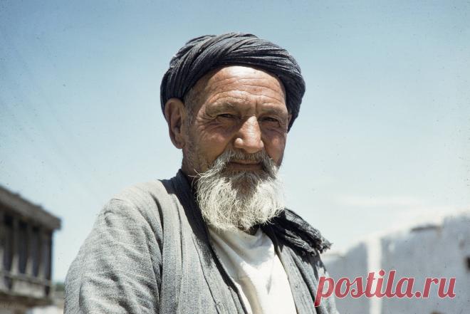 1959. Харрисон Форман в Самарканде. Часть 1: humus — ЖЖ