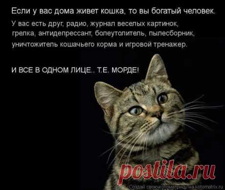 Картинка из галереи поздравлений