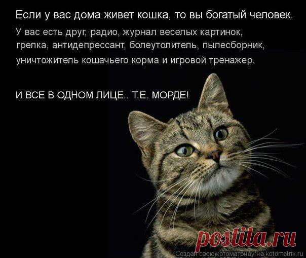 Картинка из галереи поздравлений