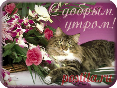 Подарю тебе » Доброе утро