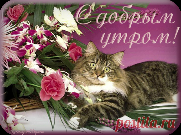 Подарю тебе » Доброе утро