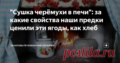 "Сушка черёмухи в печи": за какие свойства наши предки ценили эти ягоды, как хлеб Добрый день мои читатели на связи Захаровы Печники Ремесленники!
Как правило, черёмуховые ягоды сушат после их созревания, примерно в конце июля – августе.