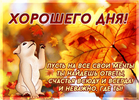 Картинка хорошего дня, счастья всюду и всегда