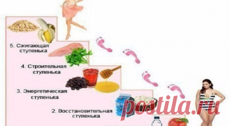 ЭТАПЫ ДИЕТЫ «ЛЕСЕНКА»