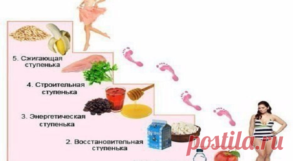 ЭТАПЫ ДИЕТЫ «ЛЕСЕНКА»