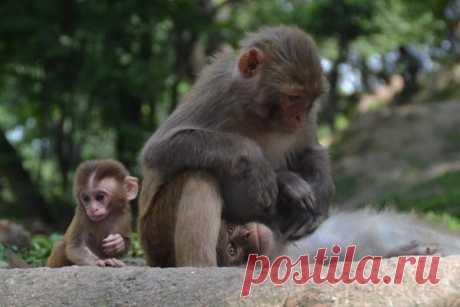 В детстве легко можно было себе представить, какое сказочное будущее ждет вас, как только вы станете взрослым.