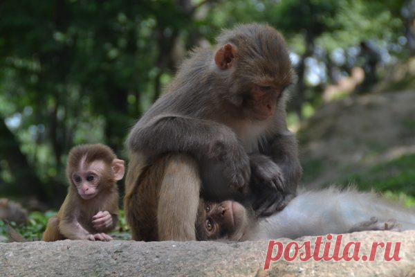 В детстве легко можно было себе представить, какое сказочное будущее ждет вас, как только вы станете взрослым.