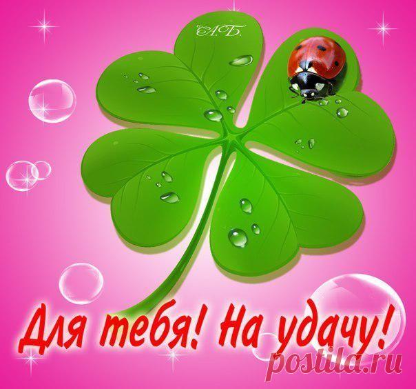 Юрий Волков