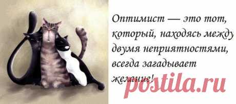 Интересное