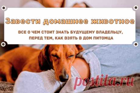 🔥 Завести домашнее животное: о чем стоит знать будущему владельцу, перед тем, как взять в дом питомца?
👉 Читать далее по ссылке: https://lindeal.com/trends/zavesti-domashnee-zhivotnoe-o-chem-stoit-znat-budushchemu-vladelcu-pered-tem-kak-vzyat-v-dom-pitomca